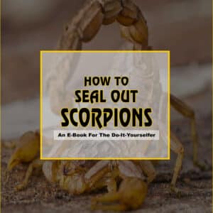 How To Seal Out Scorpions E-Book