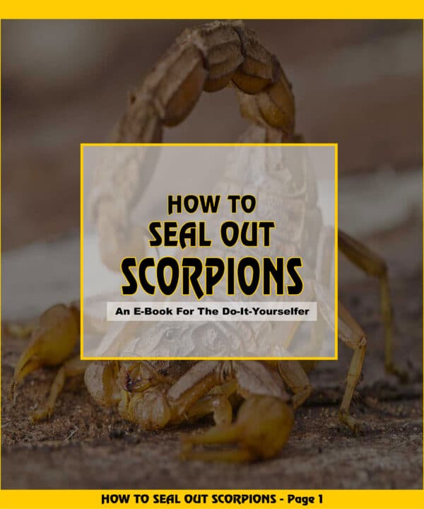 How To Seal Out Scorpions E-Book